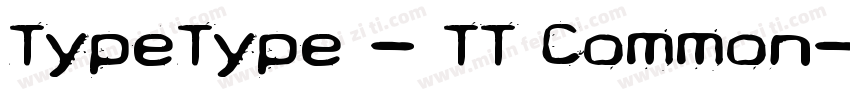 TypeType - TT Common字体转换